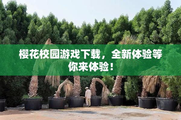 樱花校园游戏下载，全新体验等你来体验！