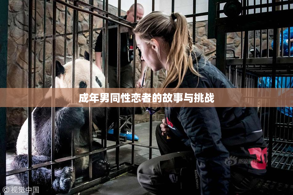 成年男同性恋者的故事与挑战