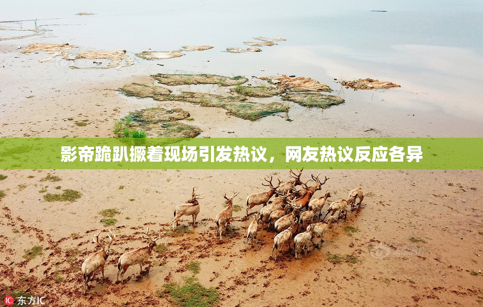 影帝跪趴撅着现场引发热议，网友热议反应各异