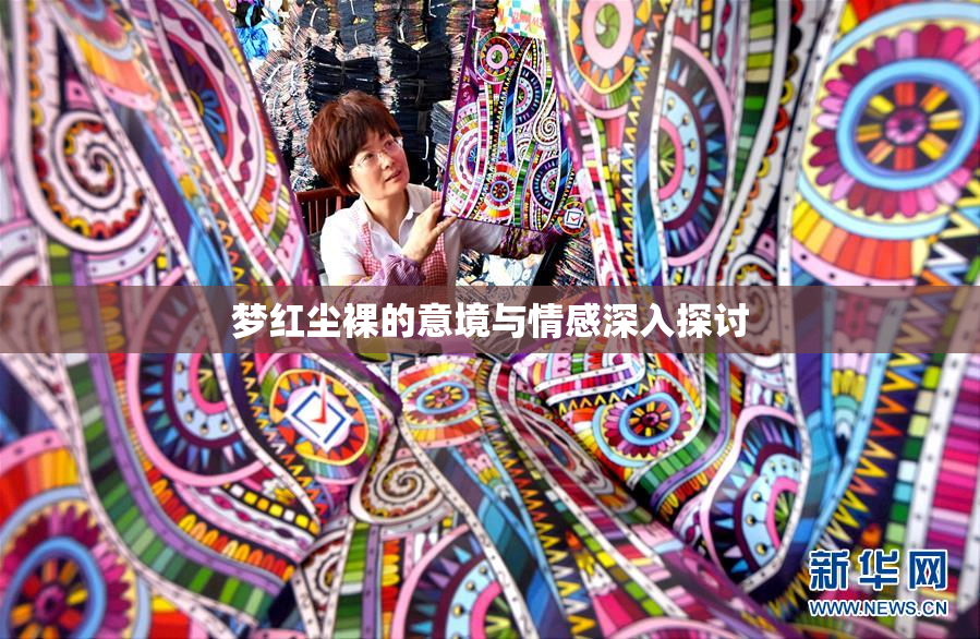 梦红尘裸的意境与情感深入探讨