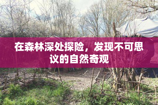 在森林深处探险，发现不可思议的自然奇观