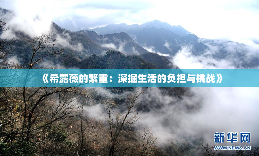 《希露薇的繁重：深掘生活的负担与挑战》