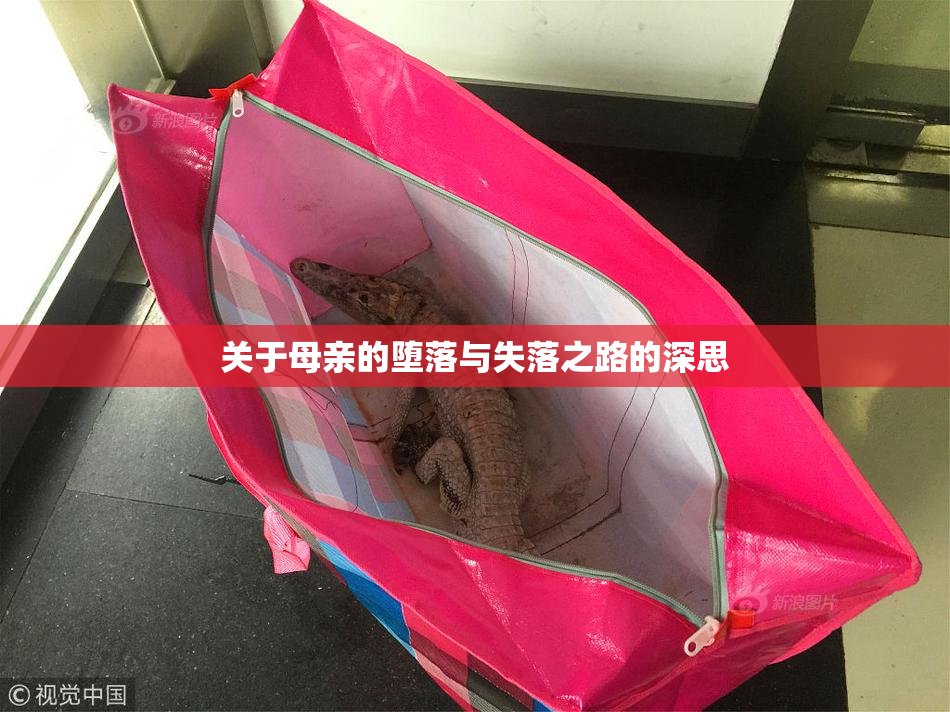 关于母亲的堕落与失落之路的深思