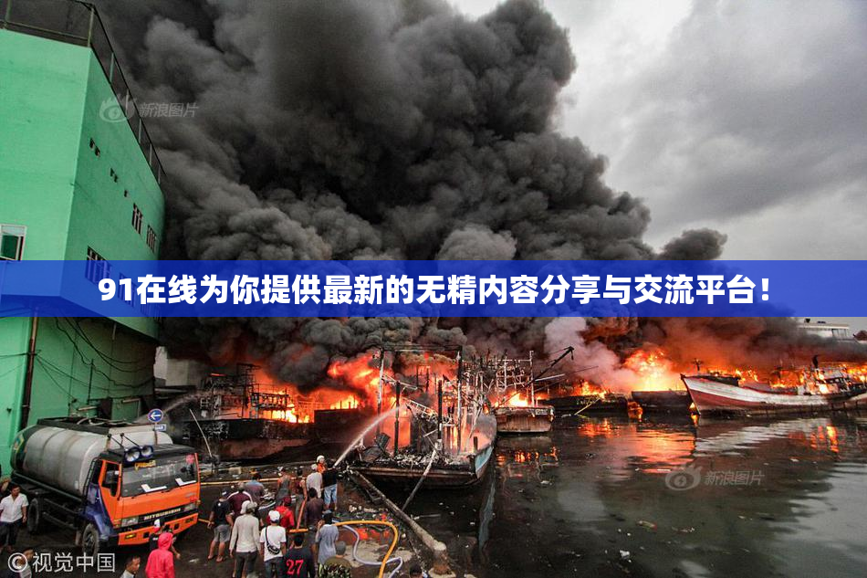 91在线为你提供最新的无精内容分享与交流平台！