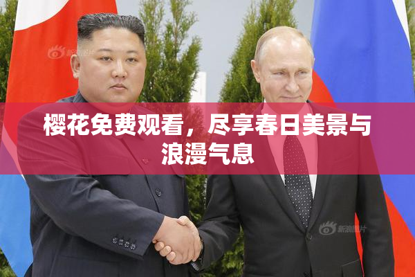 樱花免费观看，尽享春日美景与浪漫气息