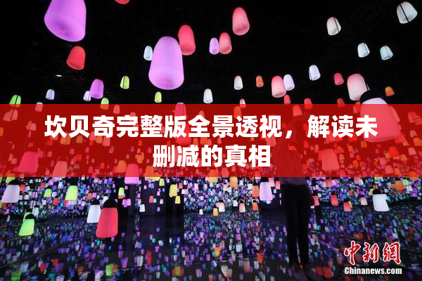 坎贝奇完整版全景透视，解读未删减的真相