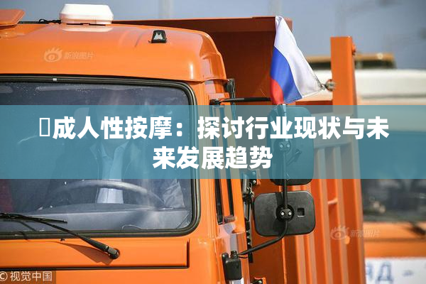 巜成人性按摩：探讨行业现状与未来发展趋势