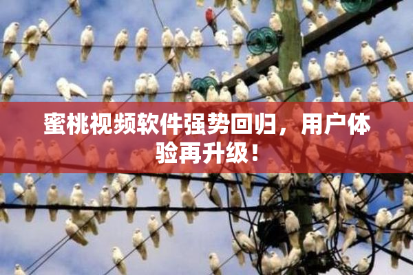 蜜桃视频软件强势回归，用户体验再升级！