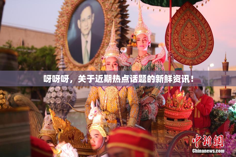呀呀呀，关于近期热点话题的新鲜资讯！