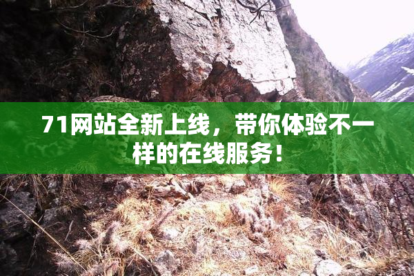 71网站全新上线，带你体验不一样的在线服务！