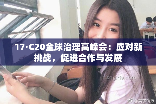 17·C20全球治理高峰会：应对新挑战，促进合作与发展