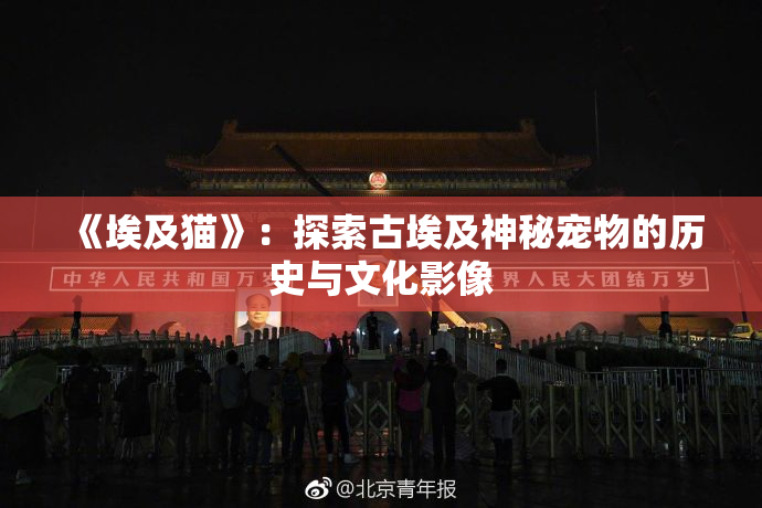 《埃及猫》：探索古埃及神秘宠物的历史与文化影像