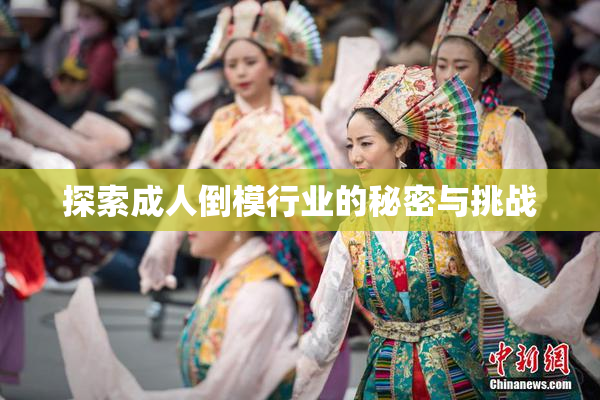 探索成人倒模行业的秘密与挑战