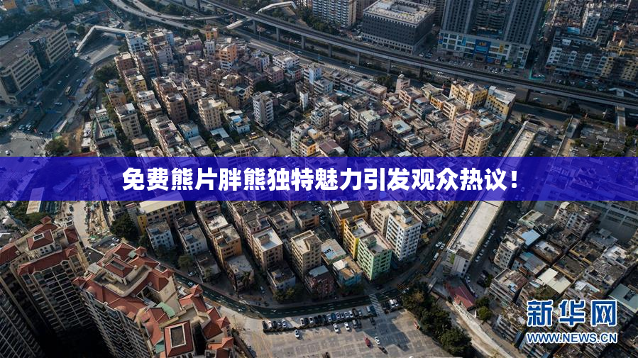 免费熊片胖熊独特魅力引发观众热议！