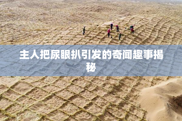 主人把尿眼扒引发的奇闻趣事揭秘
