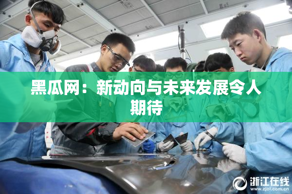 黑瓜网：新动向与未来发展令人期待