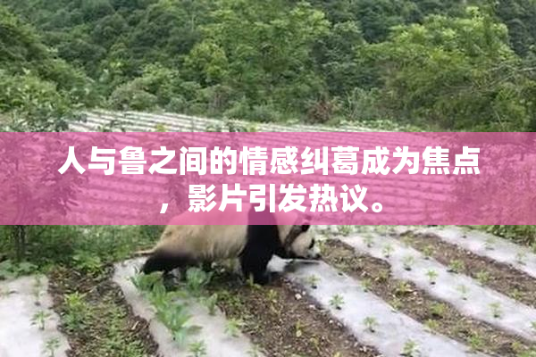 人与鲁之间的情感纠葛成为焦点，影片引发热议。