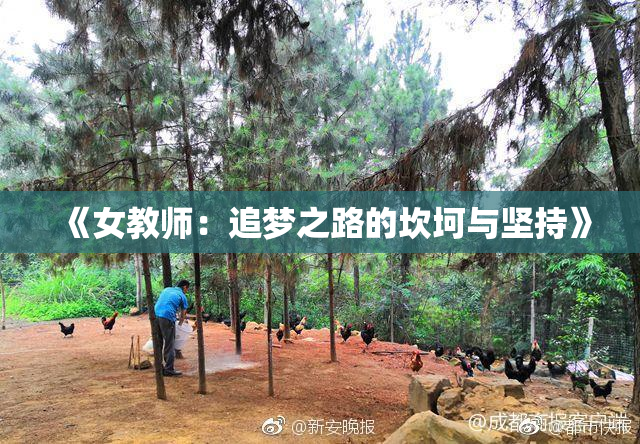 《女教师：追梦之路的坎坷与坚持》
