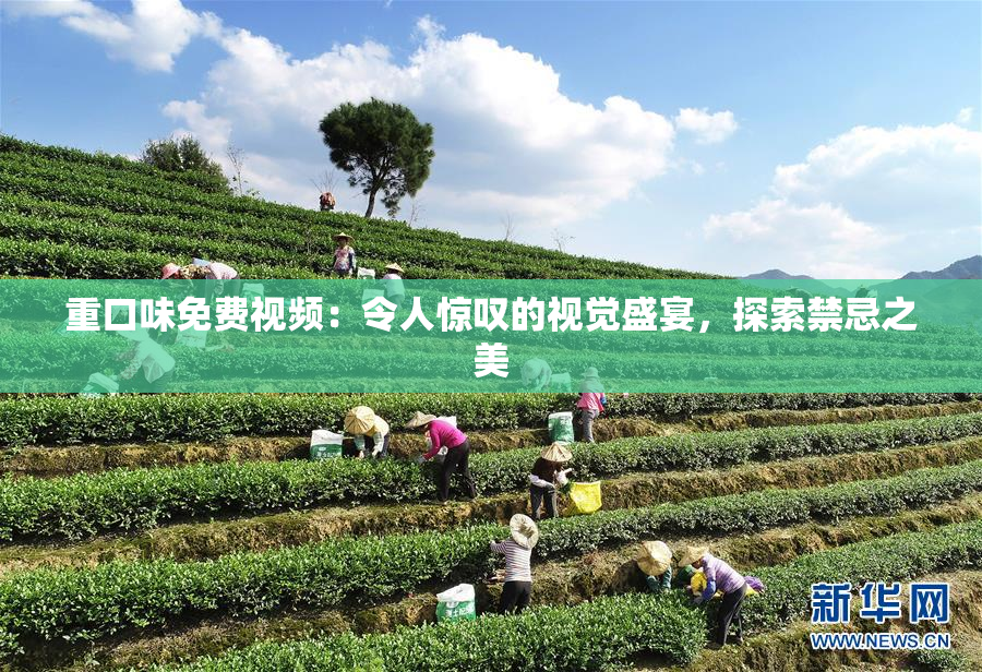 重口味免费视频：令人惊叹的视觉盛宴，探索禁忌之美