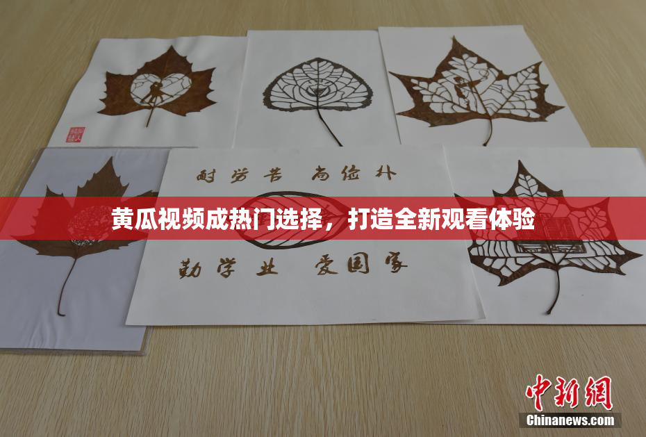 黄瓜视频成热门选择，打造全新观看体验