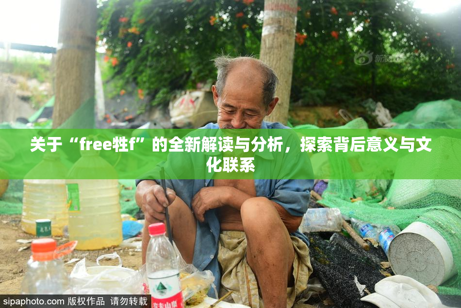 关于“free牲f”的全新解读与分析，探索背后意义与文化联系