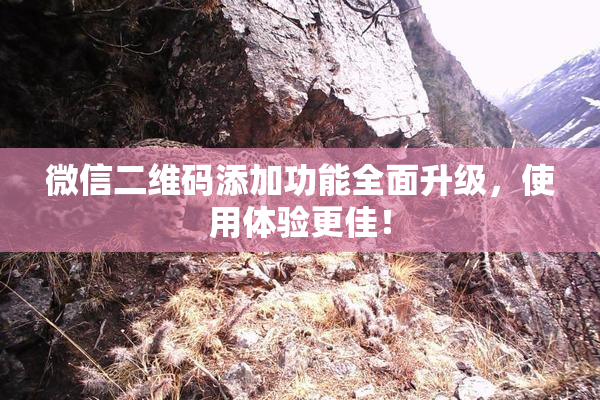 微信二维码添加功能全面升级，使用体验更佳！