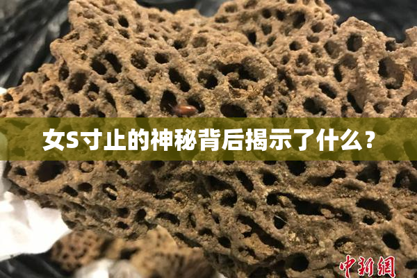 女S寸止的神秘背后揭示了什么？