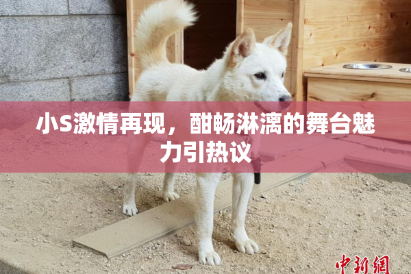 小S激情再现，酣畅淋漓的舞台魅力引热议