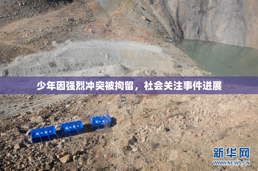 少年因强烈冲突被拘留，社会关注事件进展