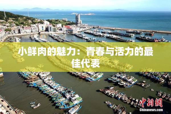 小鲜肉的魅力：青春与活力的最佳代表