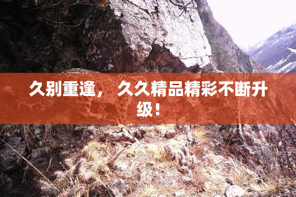 久别重逢， 久久精品精彩不断升级！