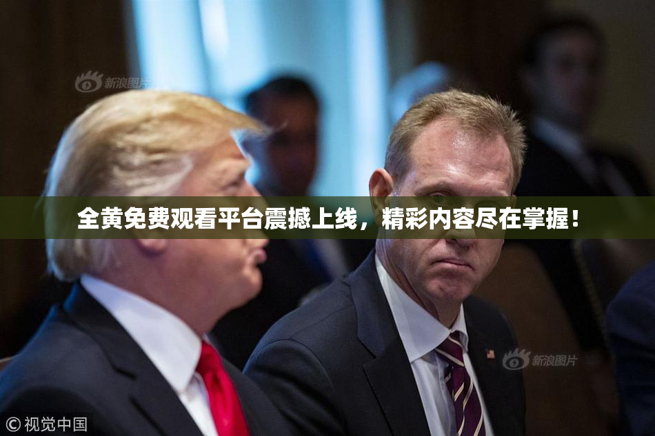 全黄免费观看平台震撼上线，精彩内容尽在掌握！