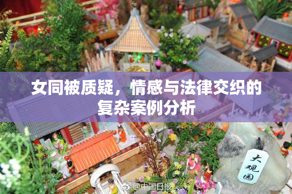 女同被质疑，情感与法律交织的复杂案例分析