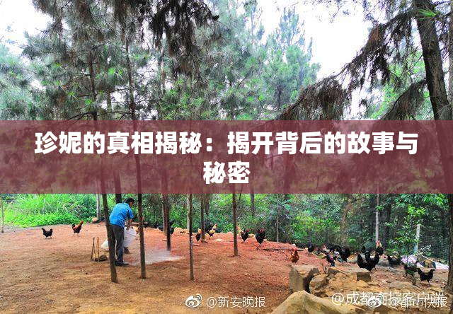 珍妮的真相揭秘：揭开背后的故事与秘密