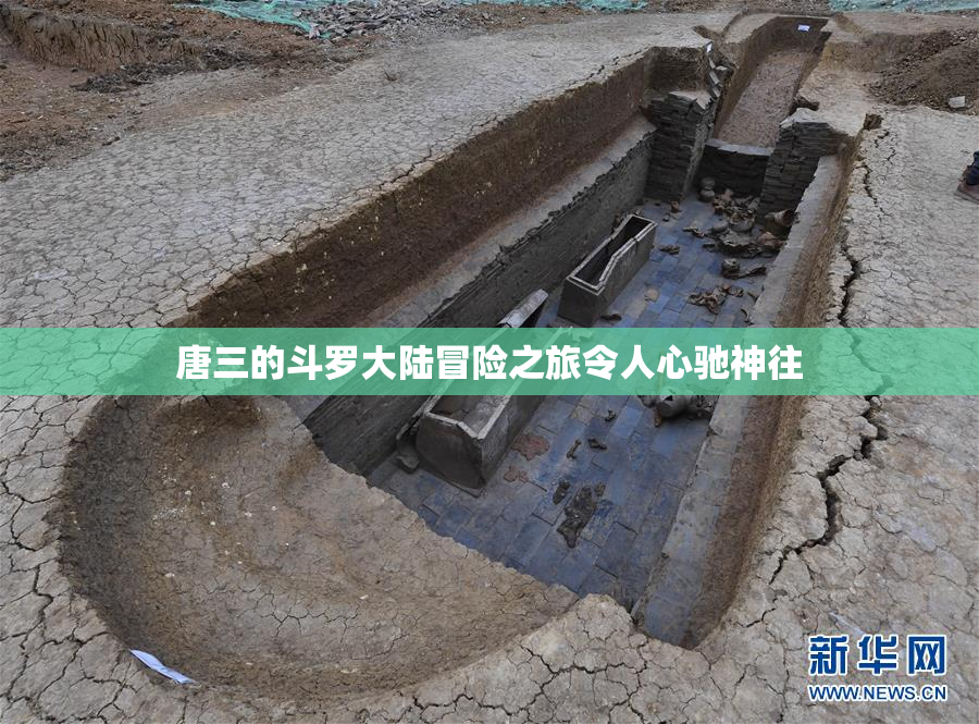 唐三的斗罗大陆冒险之旅令人心驰神往