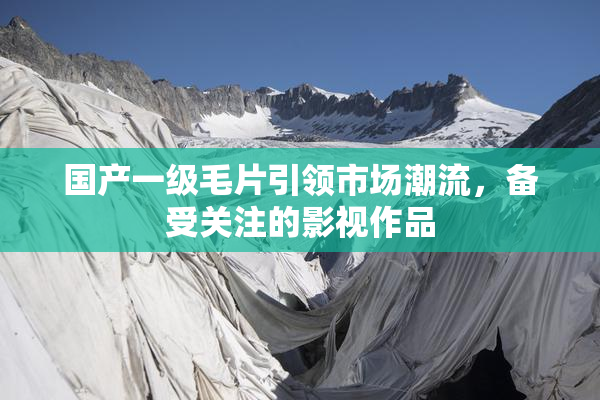 国产一级毛片引领市场潮流，备受关注的影视作品