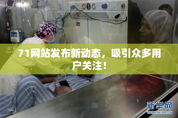 71网站发布新动态，吸引众多用户关注！