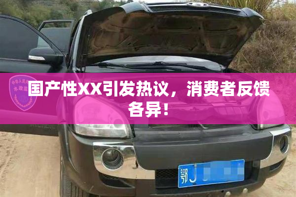 国产性XX引发热议，消费者反馈各异！