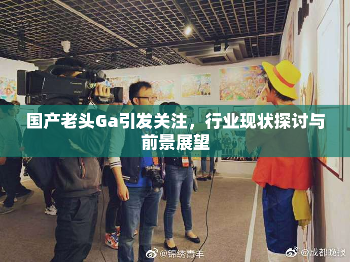 国产老头Ga引发关注，行业现状探讨与前景展望