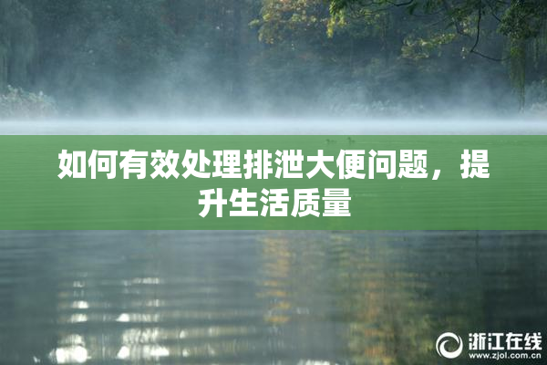 如何有效处理排泄大便问题，提升生活质量