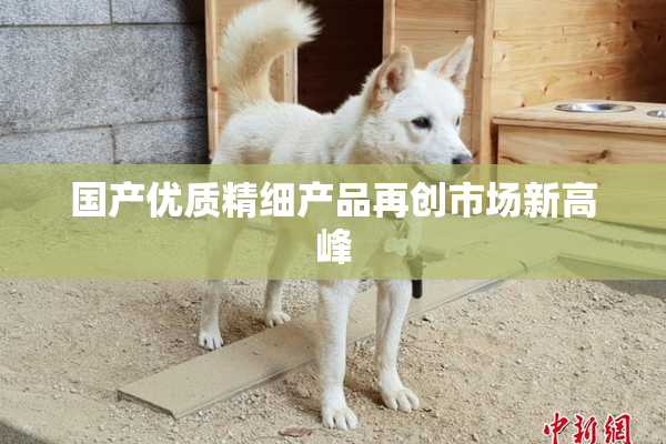 国产优质精细产品再创市场新高峰