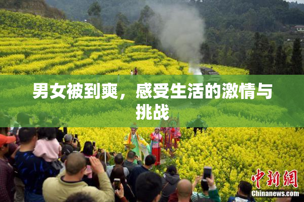 男女被到爽，感受生活的激情与挑战