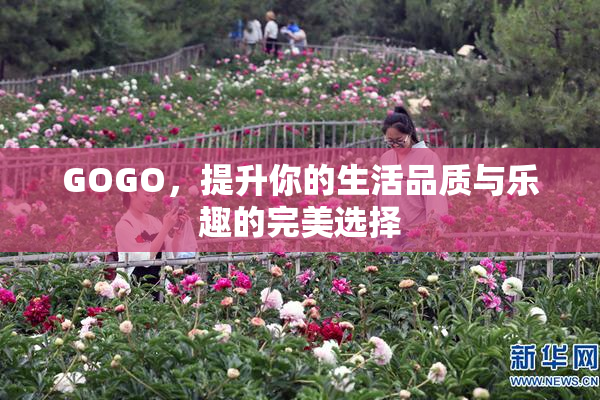 GOGO，提升你的生活品质与乐趣的完美选择