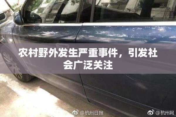 农村野外发生严重事件，引发社会广泛关注