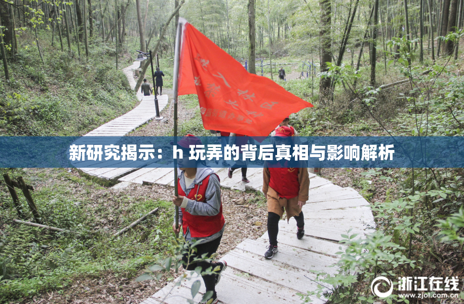 新研究揭示：h 玩弄的背后真相与影响解析