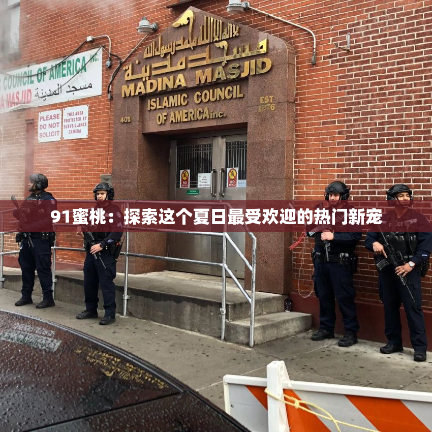 91蜜桃：探索这个夏日最受欢迎的热门新宠