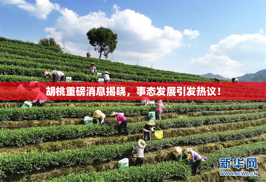 胡桃重磅消息揭晓，事态发展引发热议！