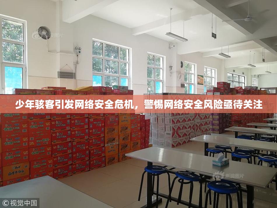 少年骇客引发网络安全危机，警惕网络安全风险亟待关注