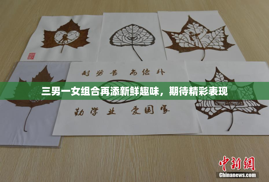 三男一女组合再添新鲜趣味，期待精彩表现