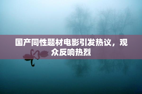 国产同性题材电影引发热议，观众反响热烈